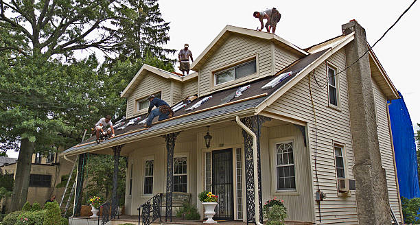 Best Storm Damage Roof Repair  in Janesville, IA