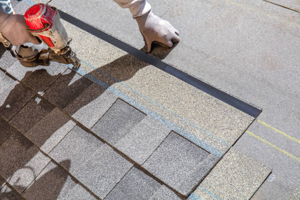 Best Roof Repair Services  in Janesville, IA