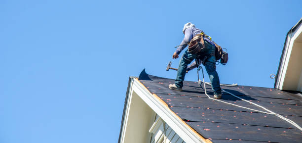 Best Roof Gutter Cleaning  in Janesville, IA